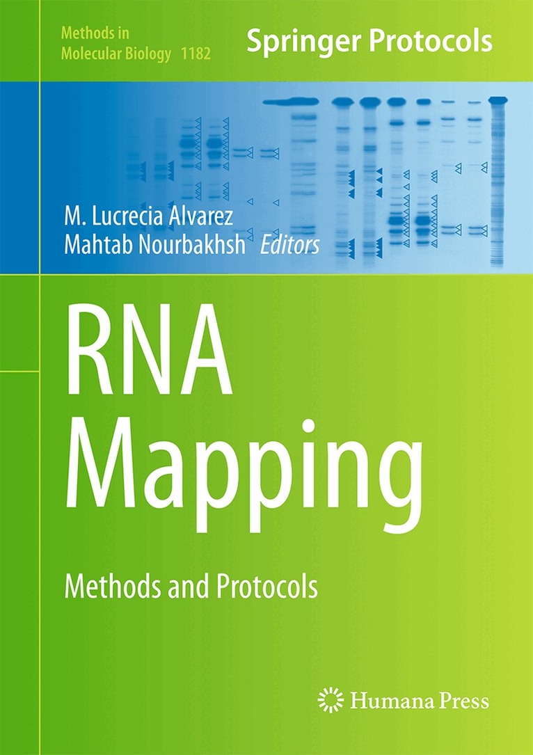 M. Lucrecia Alvarez, Mahtab Nourbakhsh - RNA Mapping, Inbunden
