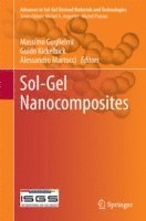 Alessandro Martucci, Guido Kickelbick, Massimo Guglielmi - Sol-Gel Nanocomposites, E-bok