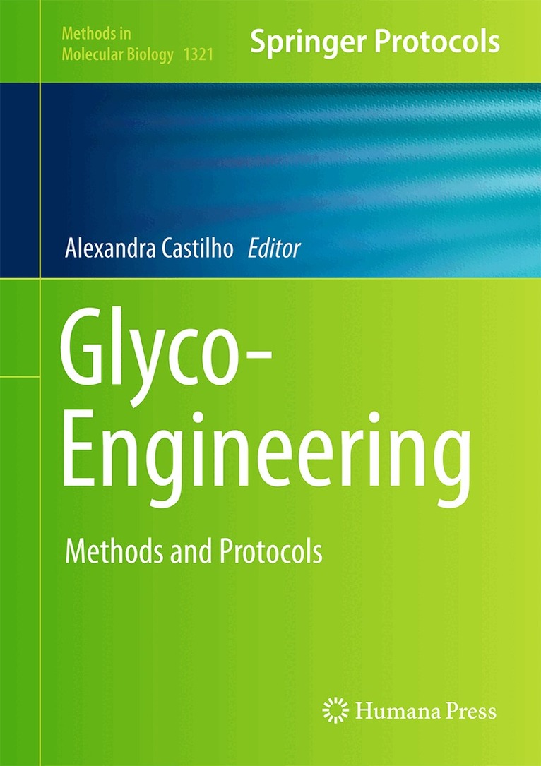 Alexandra Castilho - Glyco-Engineering, Inbunden