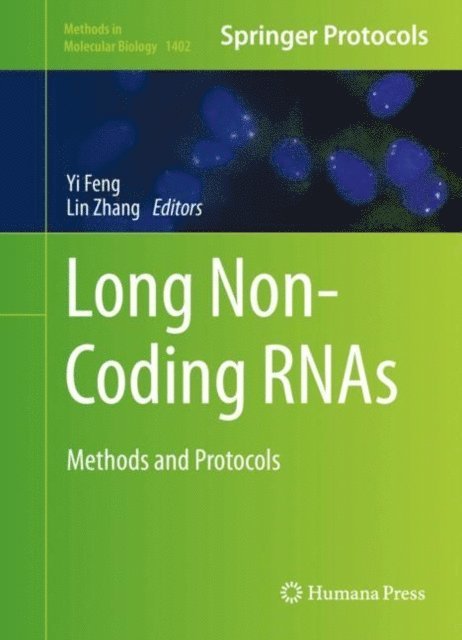 Lin Zhang, Yi Feng - Long Non-Coding RNAs, E-bok