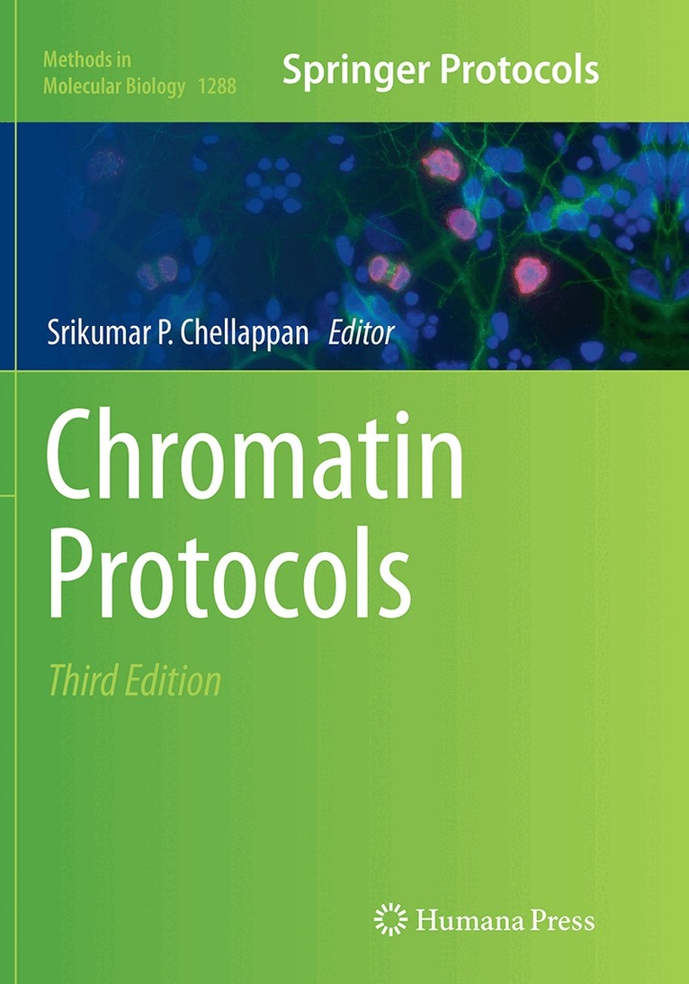 Srikumar P. Chellappan - Chromatin Protocols, Häftad