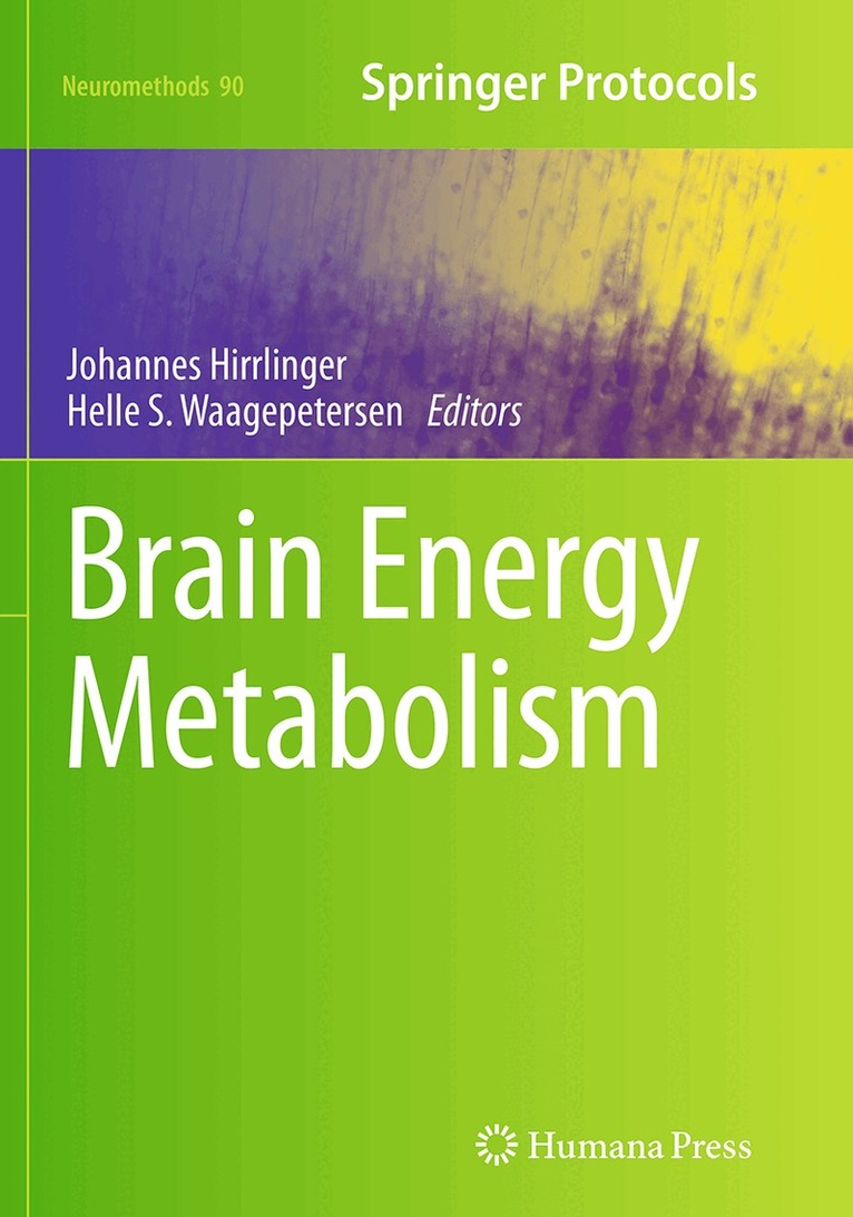 Johannes Hirrlinger, Helle S. Waagepetersen - Brain Energy Metabolism, Häftad