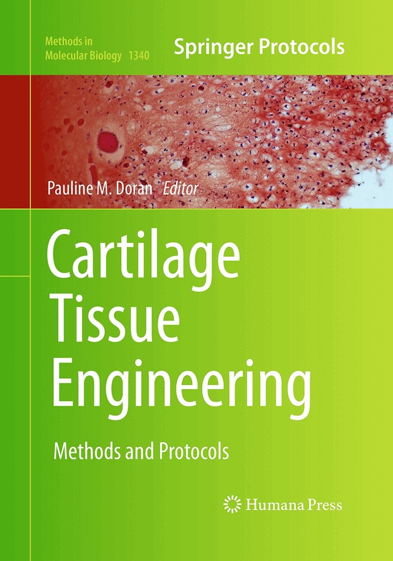 Pauline M. Doran - Cartilage Tissue Engineering, Häftad