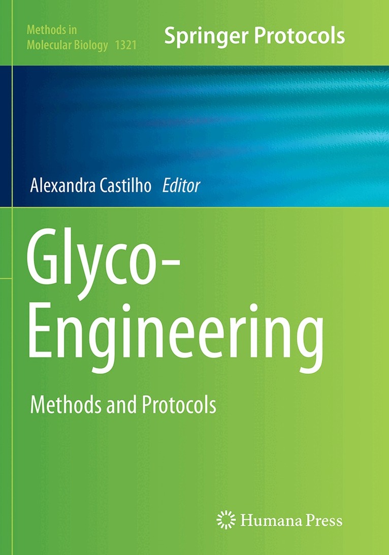 Alexandra Castilho - Glyco-Engineering, Häftad