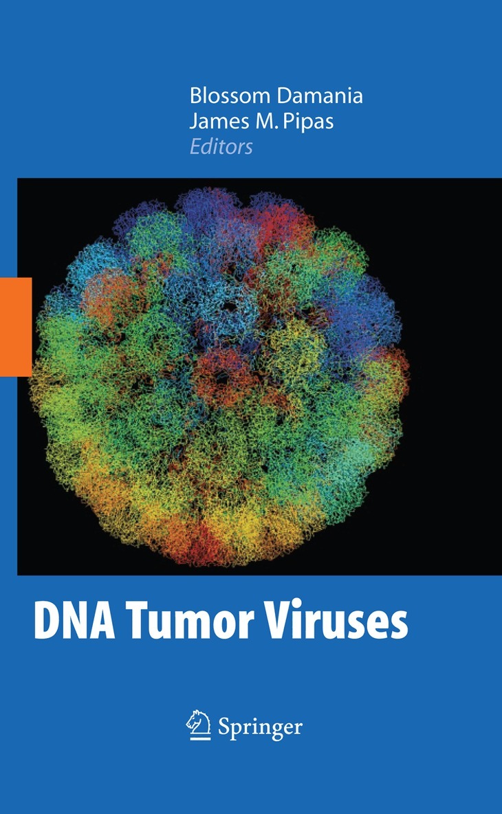 Blossom Damania, James Pipas - DNA Tumor Viruses, Häftad