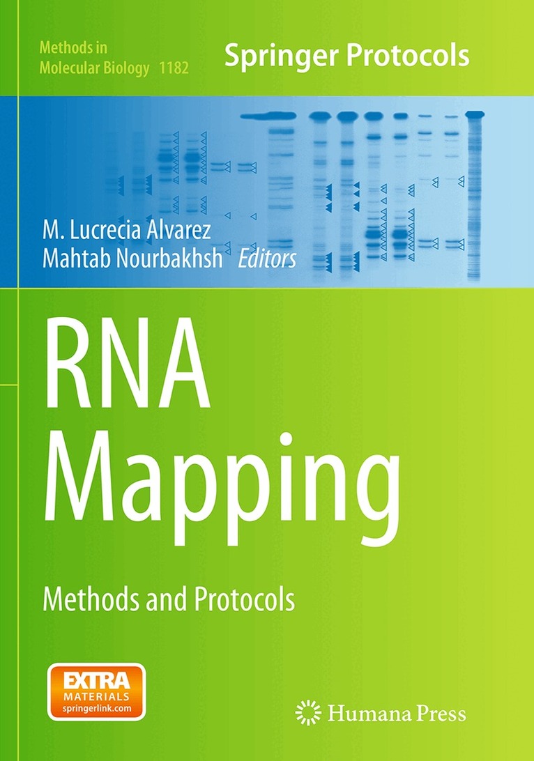 M. Lucrecia Alvarez, Mahtab Nourbakhsh - RNA Mapping, Häftad. Tillgänglighet: Lägg i varukorg