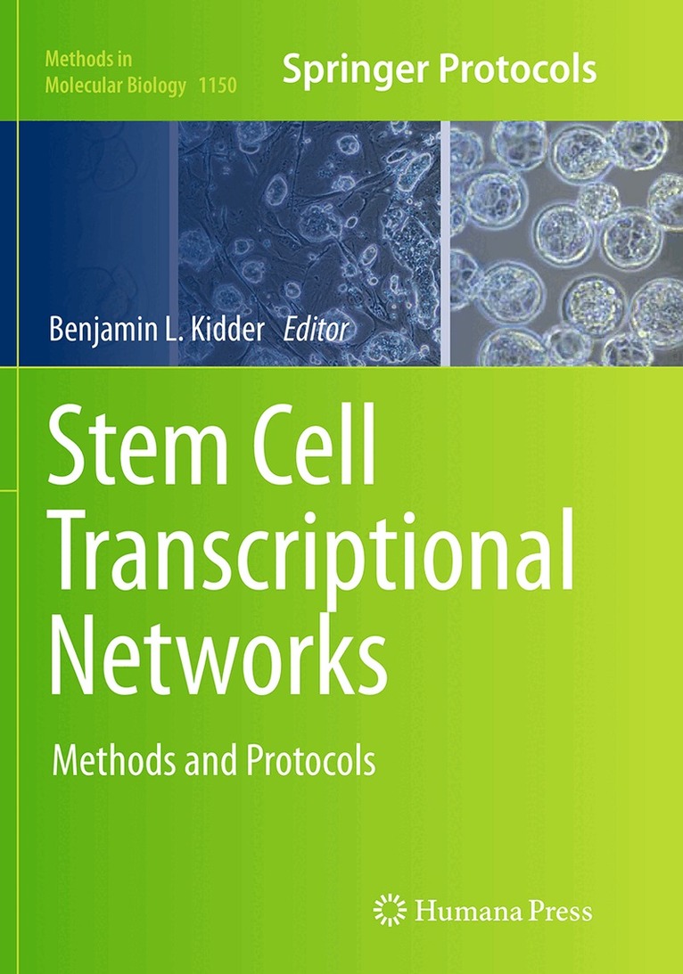 Benjamin L. Kidder - Stem Cell Transcriptional Networks, Häftad