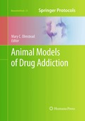 Animal Models of Drug Addiction
