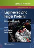 Engineered Zinc Finger Proteins