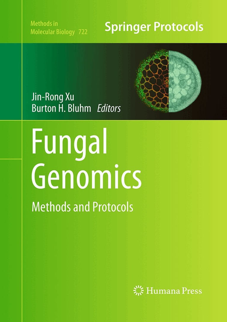 Jin-Rong Xu, Burton H. Bluhm - Fungal Genomics, Häftad