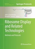 Ribosome Display and Related Technologies