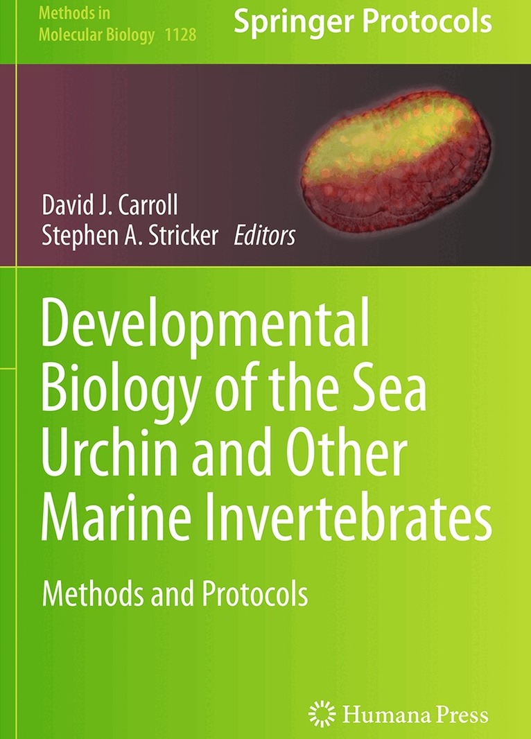 David J. Carroll, Stephen A. Stricker - Developmental Biology of the Sea Urchin and Other Marine Invertebrates, Häftad