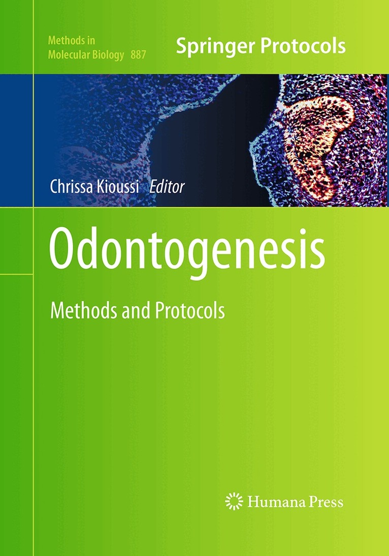Chrissa Kioussi - Odontogenesis, Häftad