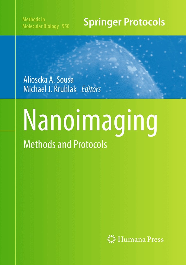 Alioscka A. Sousa, Michael J. Kruhlak - Nanoimaging, Häftad