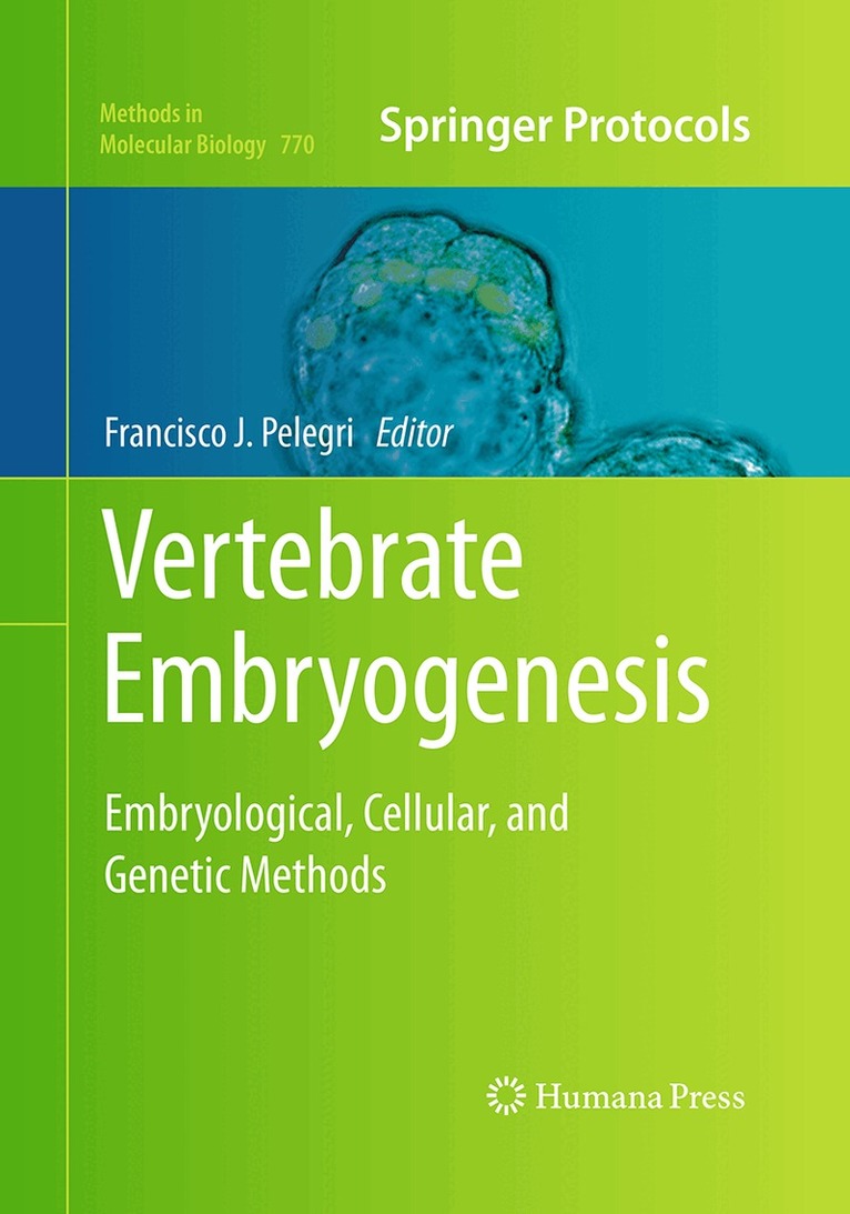 Francisco J. Pelegri - Vertebrate Embryogenesis, Häftad