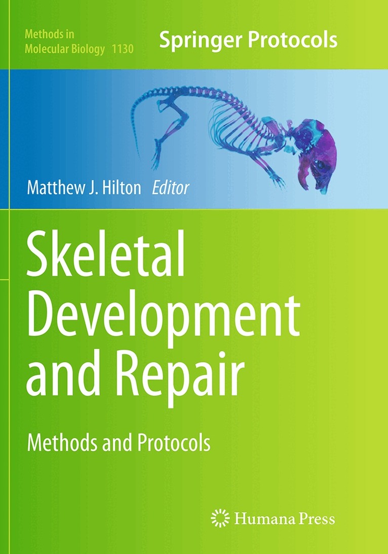 Matthew J. Hilton - Skeletal Development and Repair, Häftad. Tillgänglighet: Lägg i varukorg