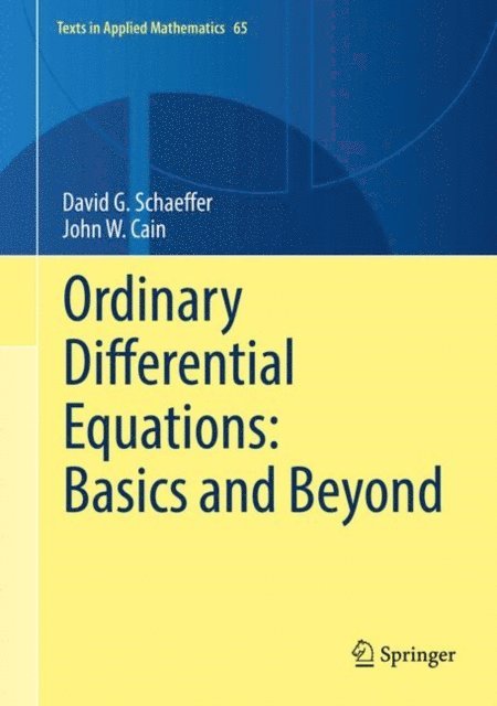 John W. Cain, David G. Schaeffer - Ordinary Differential Equations: Basics and Beyond, E-bok