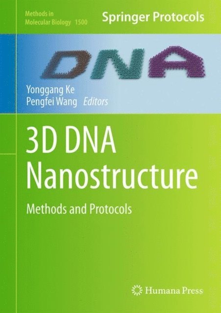 Pengfei Wang, Yonggang Ke - 3D DNA Nanostructure, E-bok