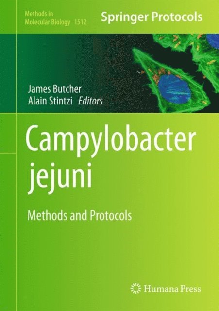 Alain Stintzi, James Butcher - Campylobacter jejuni, E-bok