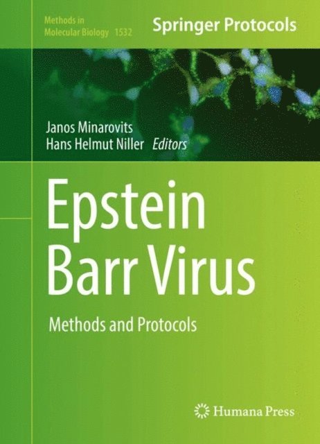 Hans Helmut Niller, Janos Minarovits - Epstein Barr Virus, E-bok. Tillgänglighet: Lägg i varukorg