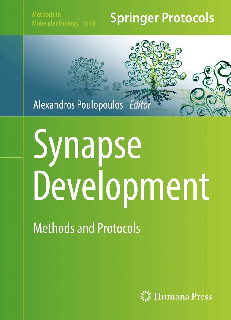 Alexandros Poulopoulos - Synapse Development, Inbunden