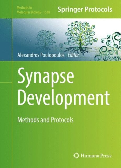 Alexandros Poulopoulos - Synapse Development, E-bok