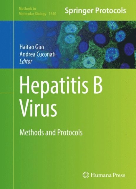 Andrea Cuconati, Haitao Guo - Hepatitis B Virus, E-bok