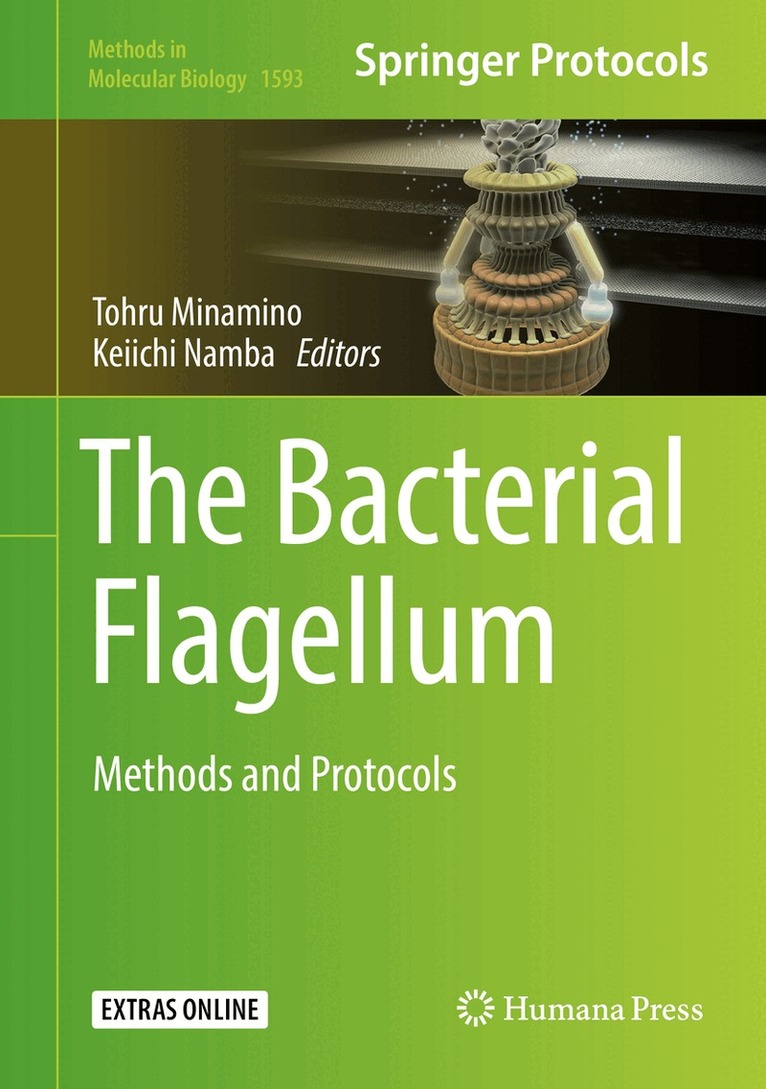 Tohru Minamino, Keiichi Namba - Bacterial Flagellum, Inbunden