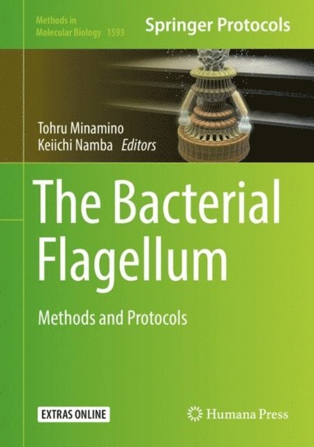 Keiichi Namba, Tohru Minamino - Bacterial Flagellum, E-bok