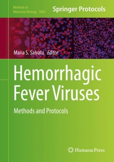 Maria S. Salvato - Hemorrhagic Fever Viruses, E-bok