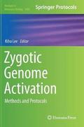 Zygotic Genome Activation