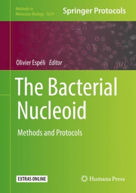 Olivier Espeli - Bacterial Nucleoid, E-bok