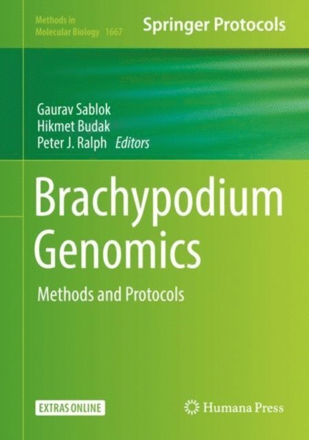 Peter J. Ralph, Hikmet Budak, Gaurav Sablok - Brachypodium Genomics, E-bok
