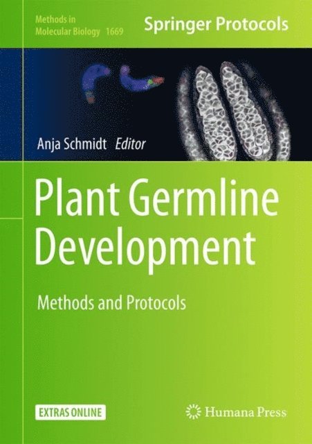 Anja Schmidt - Plant Germline Development, E-bok