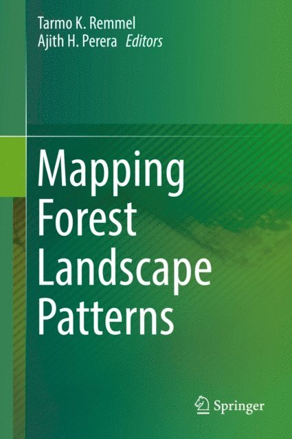 Ajith H. Perera, Tarmo K. Remmel - Mapping Forest Landscape Patterns, E-bok