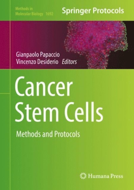 Vincenzo Desiderio, Gianpaolo Papaccio - Cancer Stem Cells, E-bok