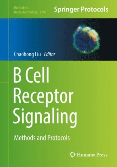 Chaohong Liu - B Cell Receptor Signaling, E-bok
