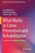 What Works in Crime Prevention and Rehabilitation