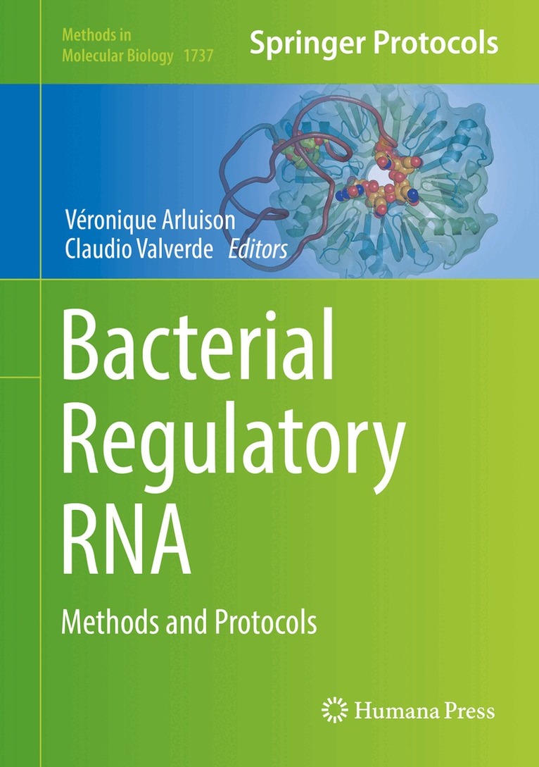 Véronique Arluison, Claudio Valverde - Bacterial Regulatory RNA, Inbunden