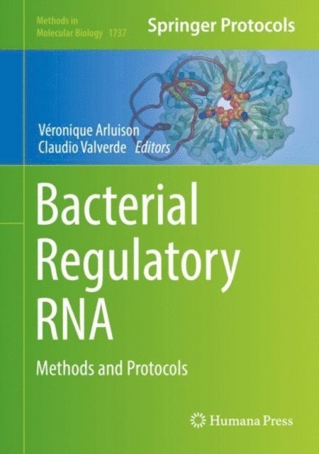 Claudio Valverde, Veronique Arluison - Bacterial Regulatory RNA, E-bok