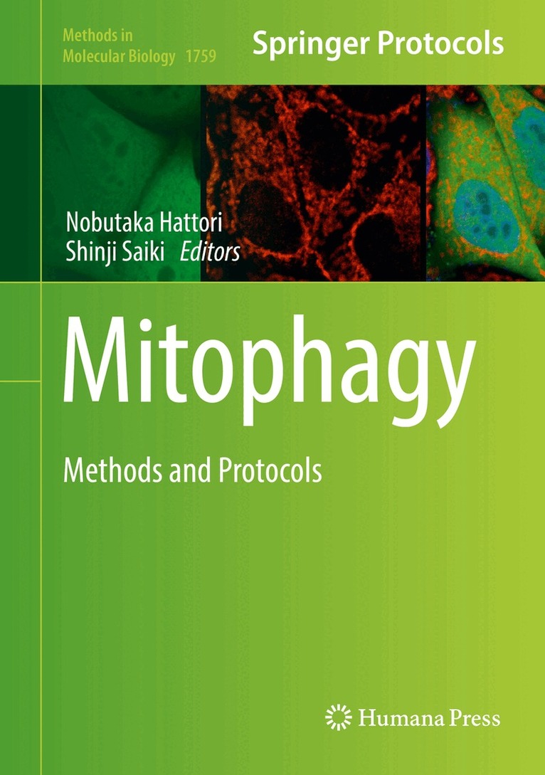 Nobutaka Hattori, Shinji Saiki - Mitophagy, Inbunden