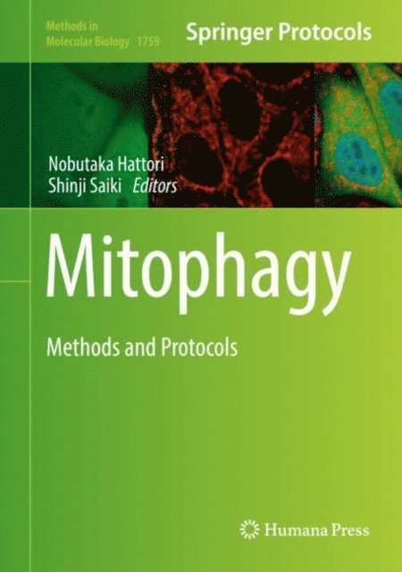 Shinji Saiki, Nobutaka Hattori - Mitophagy, E-bok