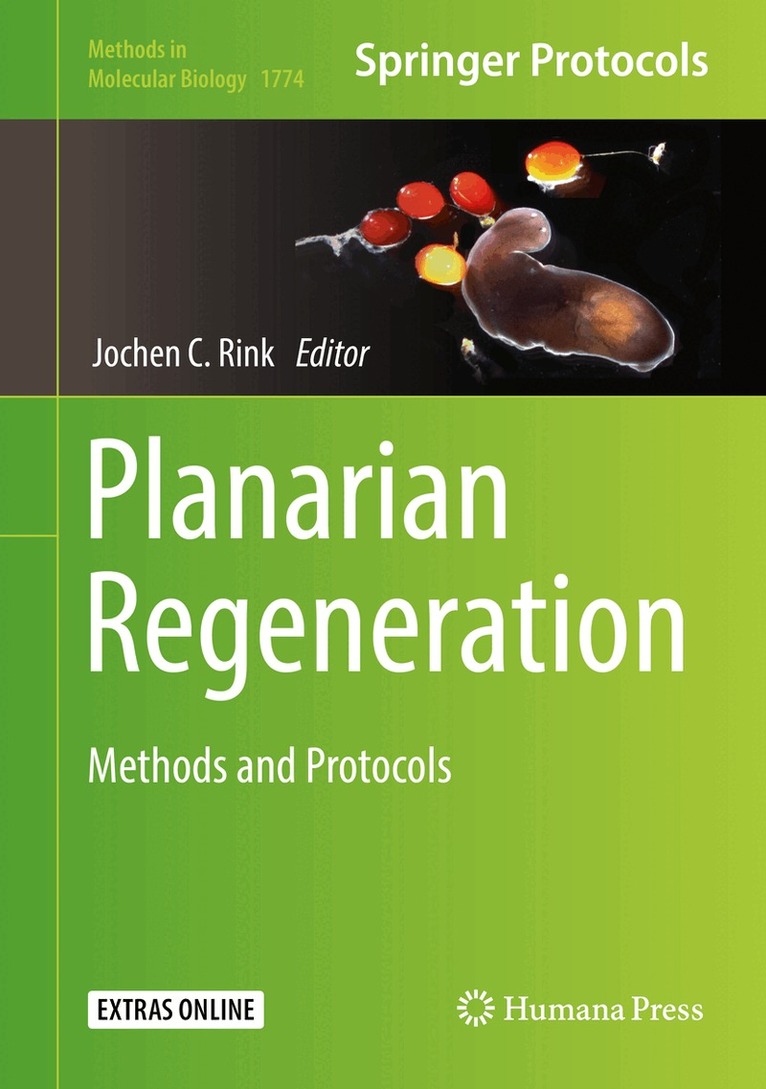 Jochen C. Rink - Planarian Regeneration, Inbunden. Tillgänglighet: Lägg i varukorg