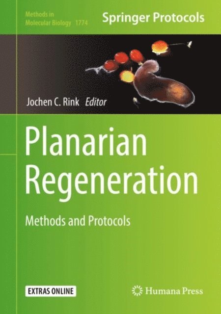 Jochen C. Rink - Planarian Regeneration, E-bok. Tillgänglighet: Lägg i varukorg