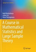 Course in Mathematical Statistics and Large Sample Theory