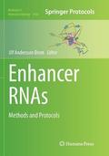 Enhancer RNAs