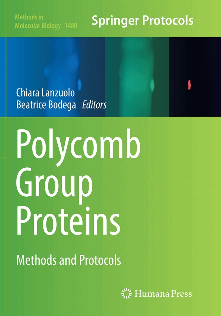 Chiara Lanzuolo, Beatrice Bodega - Polycomb Group Proteins, Häftad