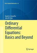 Ordinary Differential Equations: Basics and Beyond