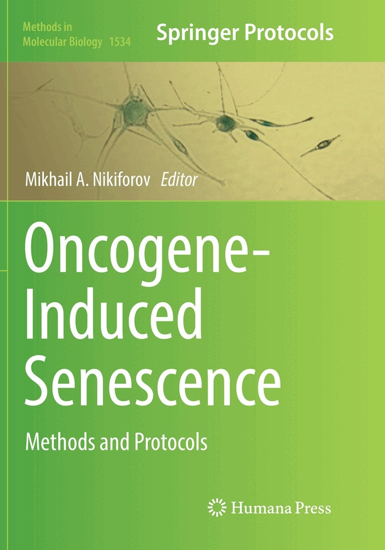 Mikhail A. Nikiforov - Oncogene-Induced Senescence, Häftad