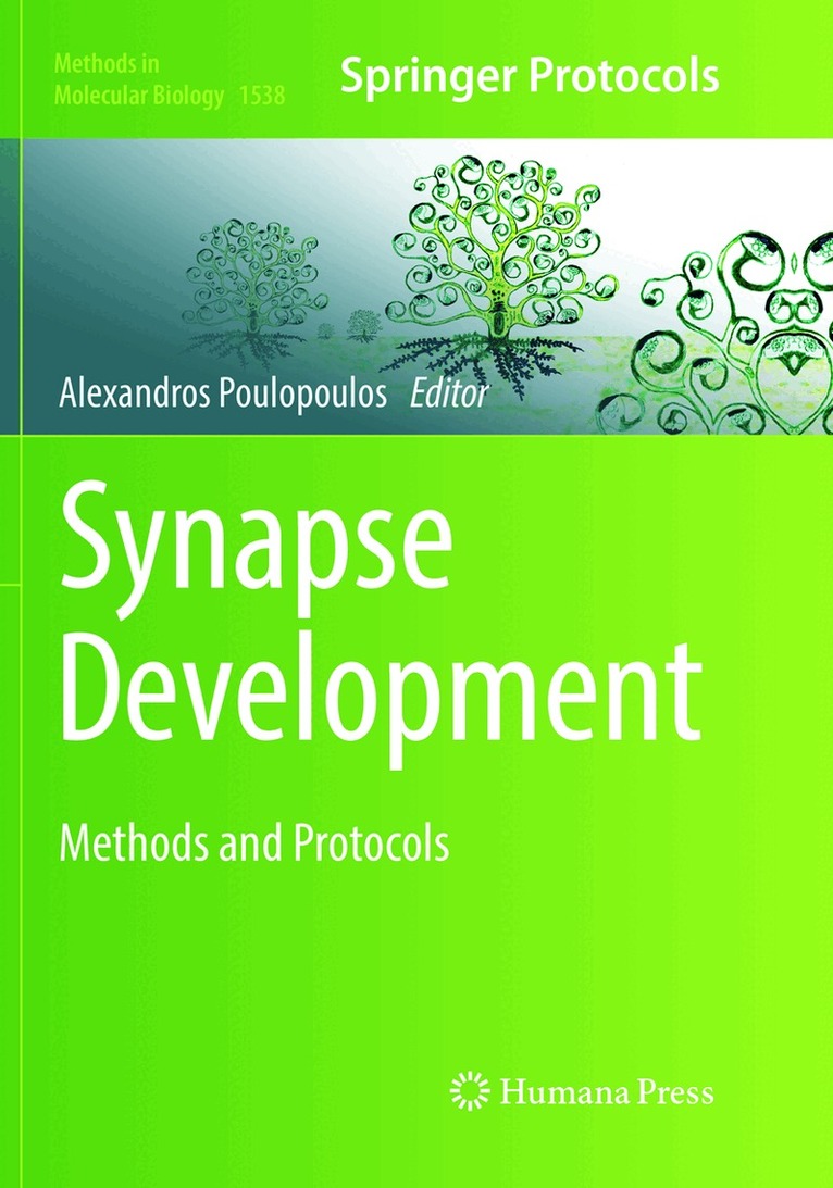 Alexandros Poulopoulos - Synapse Development, Häftad